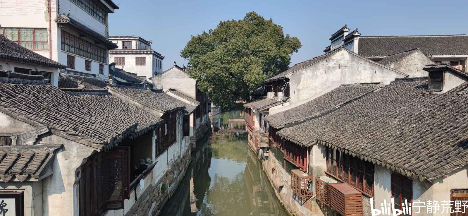 加入朦组词,茎组词,颈组词和遂组词,探索无限知识星球